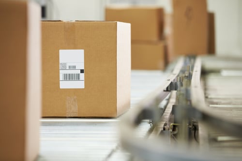 Box on Conveyor Belt in Distribution Warehouse